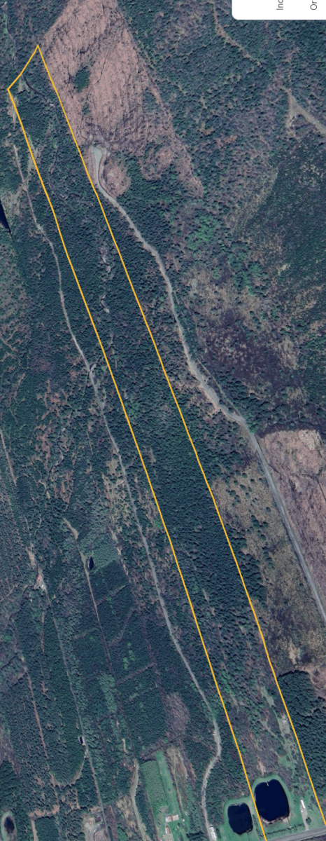 Terre a bois Chartierville 50 acres pour Chasse