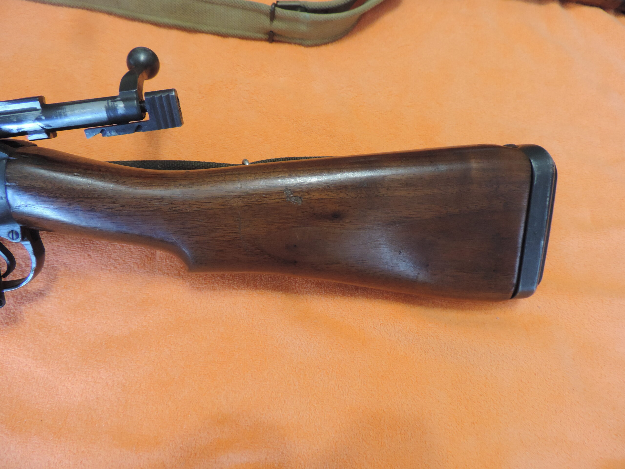 No5Mk1 Jungle
