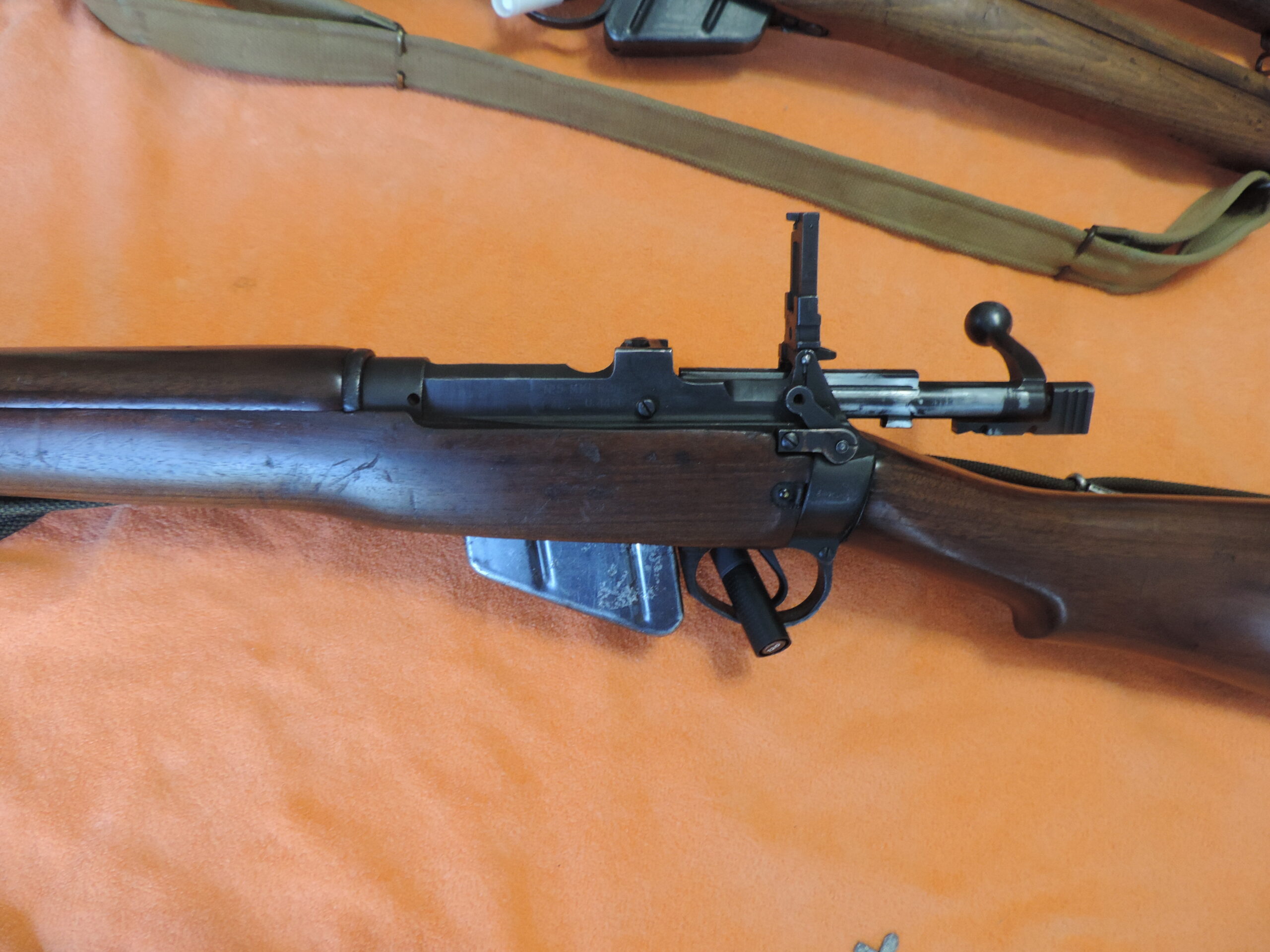 No5Mk1 Jungle