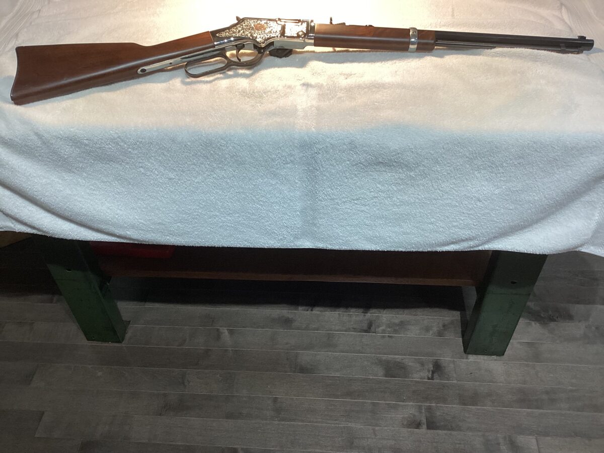 Henry 22 L.R.