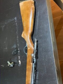 Carabine de calibre 22 Winchester Cooey Model 600 – 10 coups