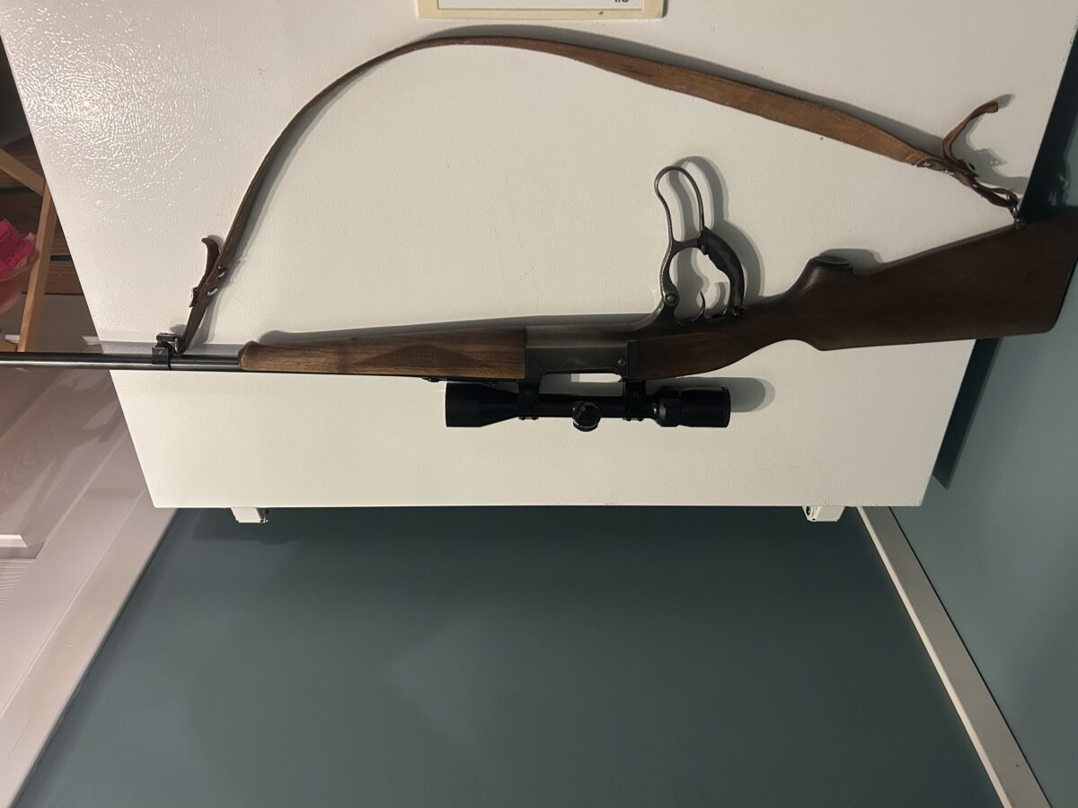308 savage