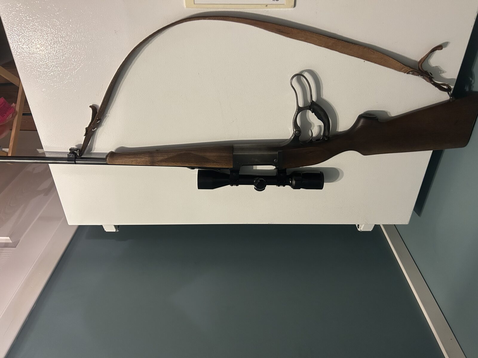 308 savage