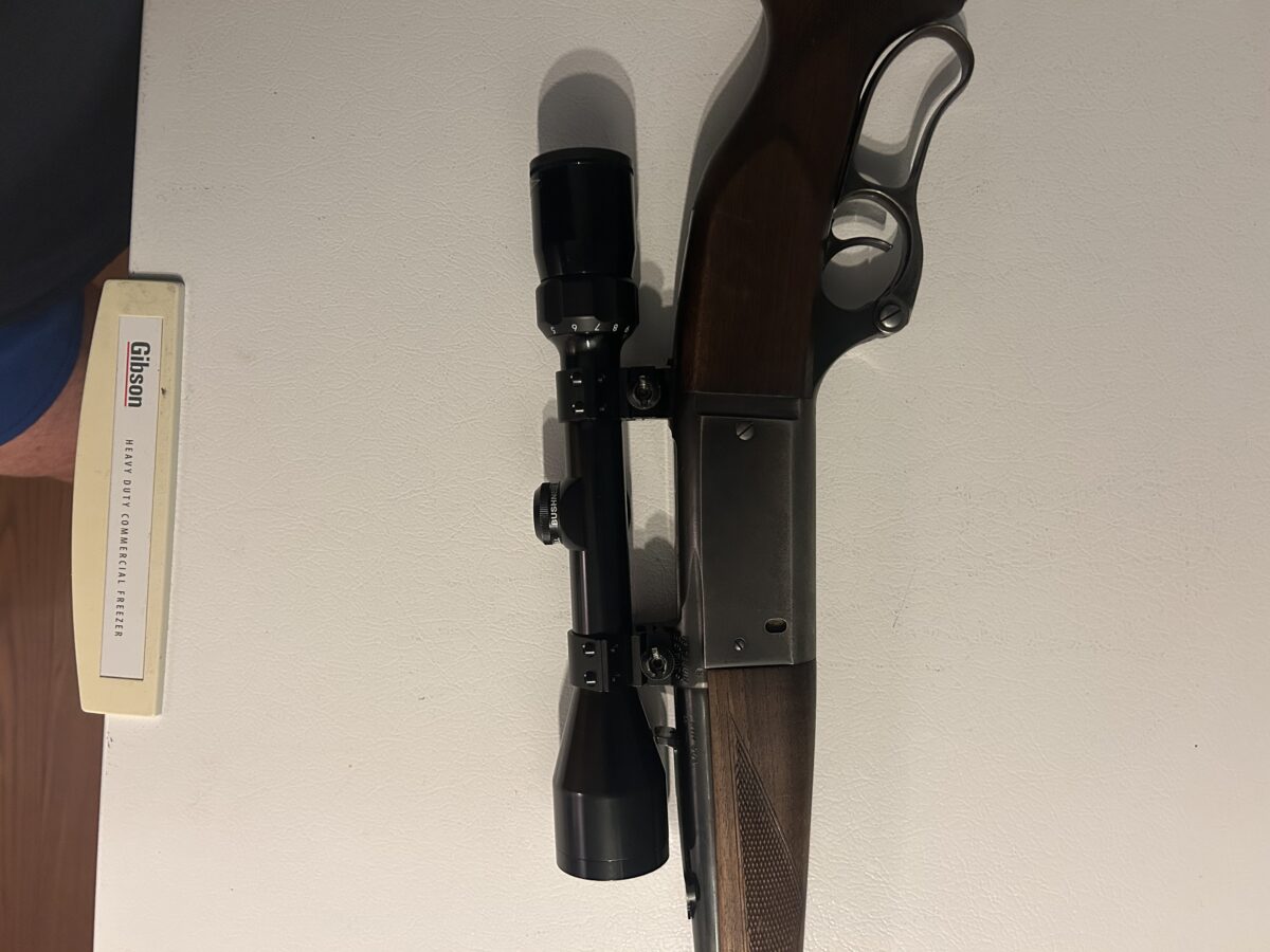308 savage