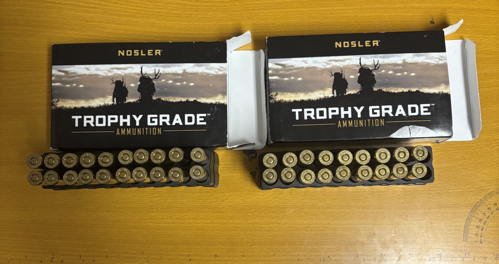 Munition 30-06 Barnes et Nosler