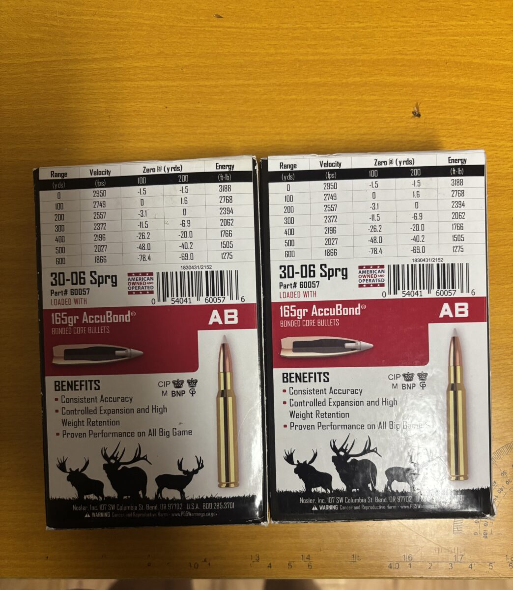 Munition 30-06 Barnes et Nosler
