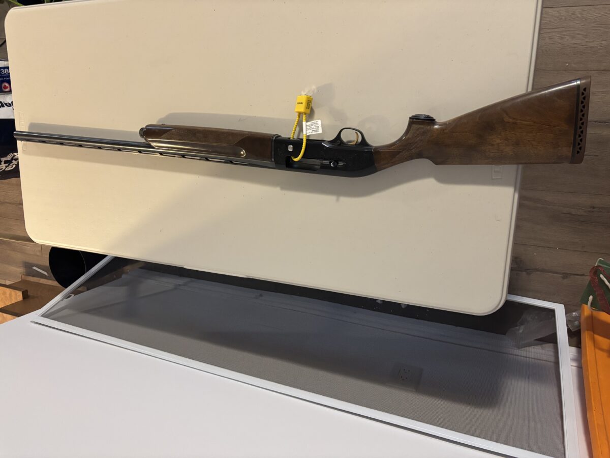 Beretta A-M 301
