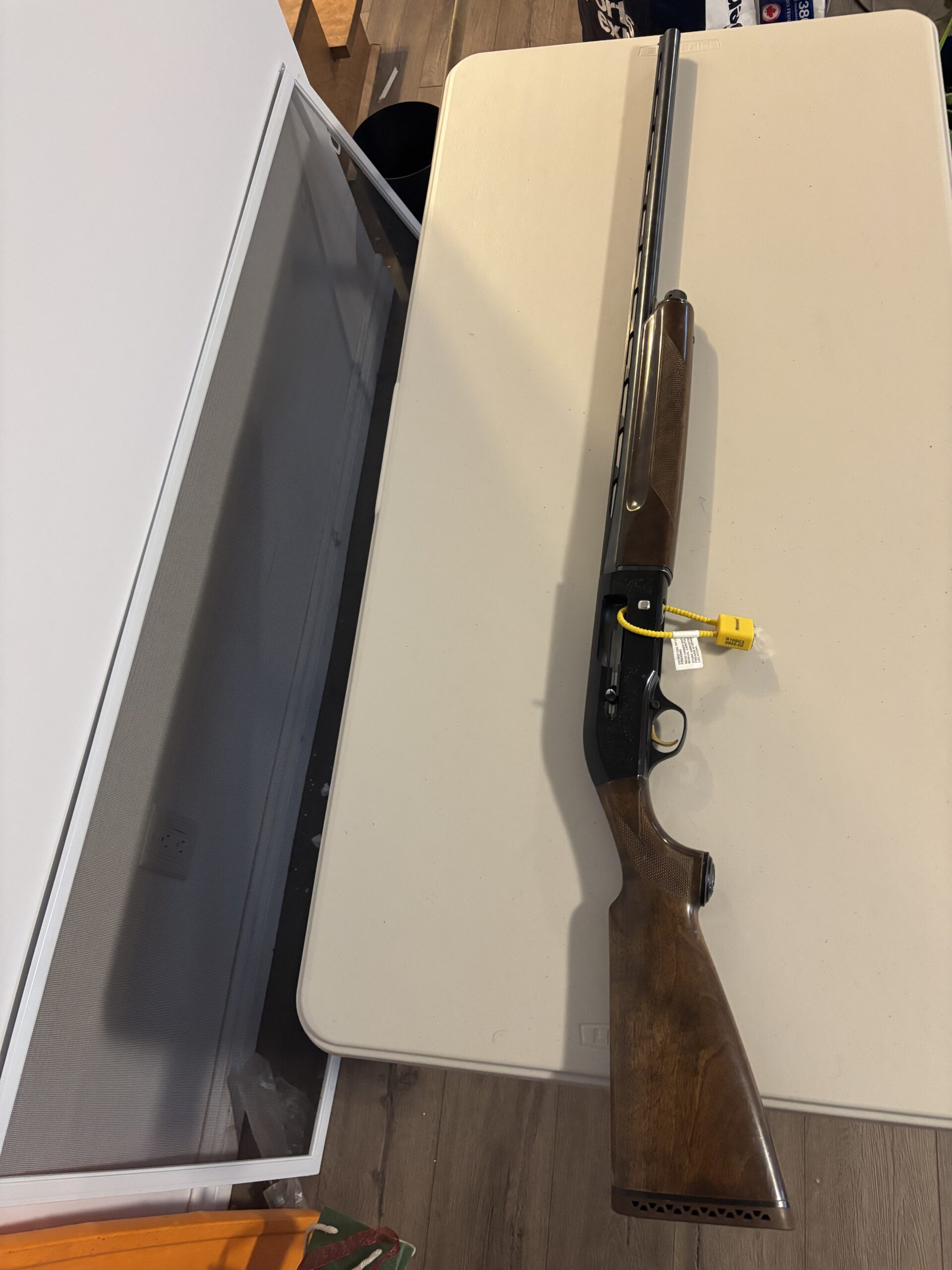 Beretta A-M 301