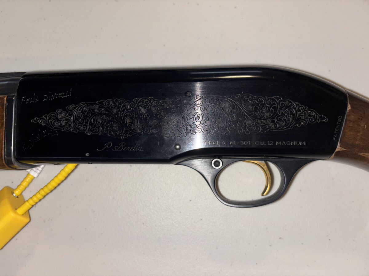 Beretta A-M 301