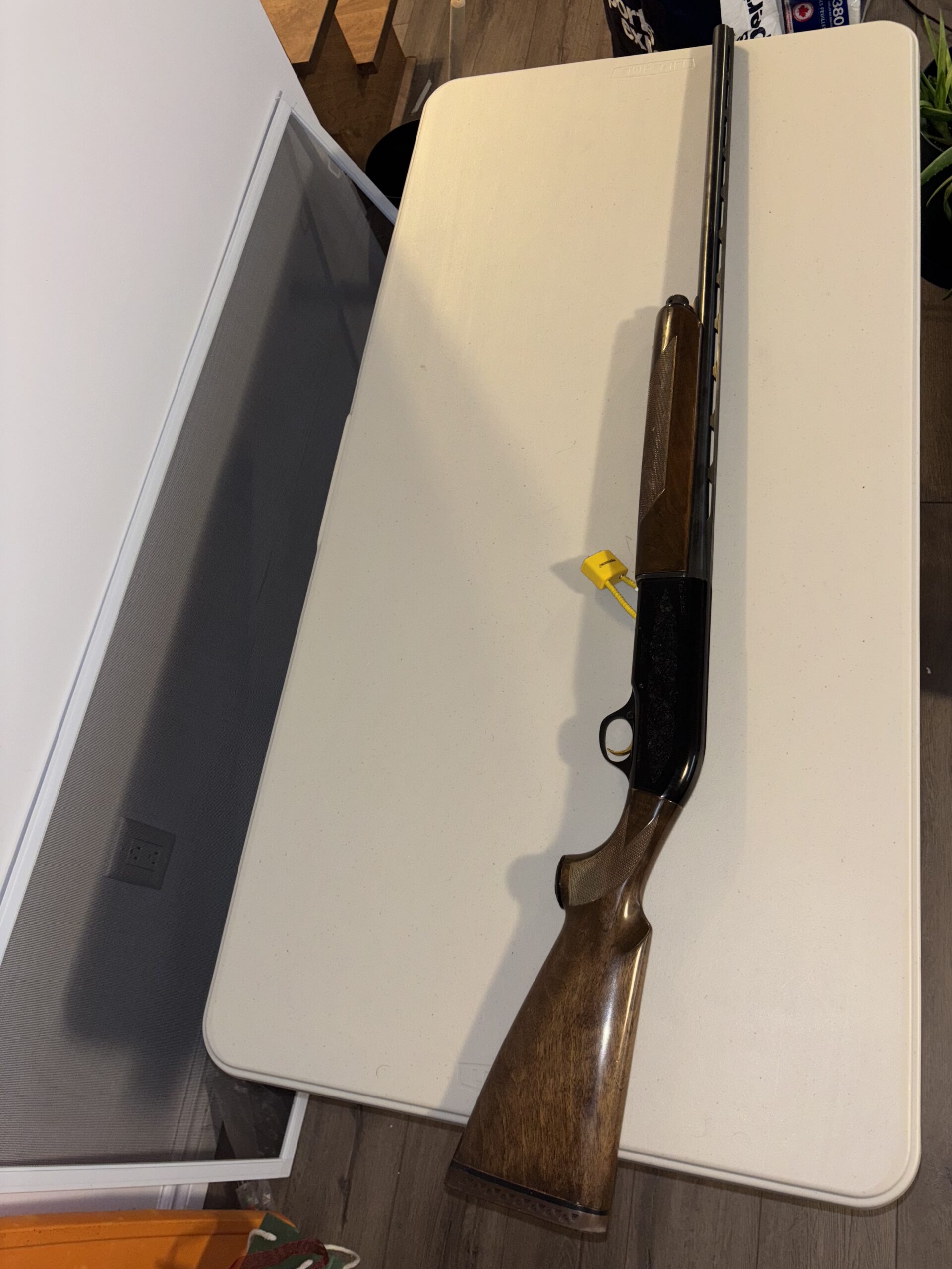 Beretta A-M 301