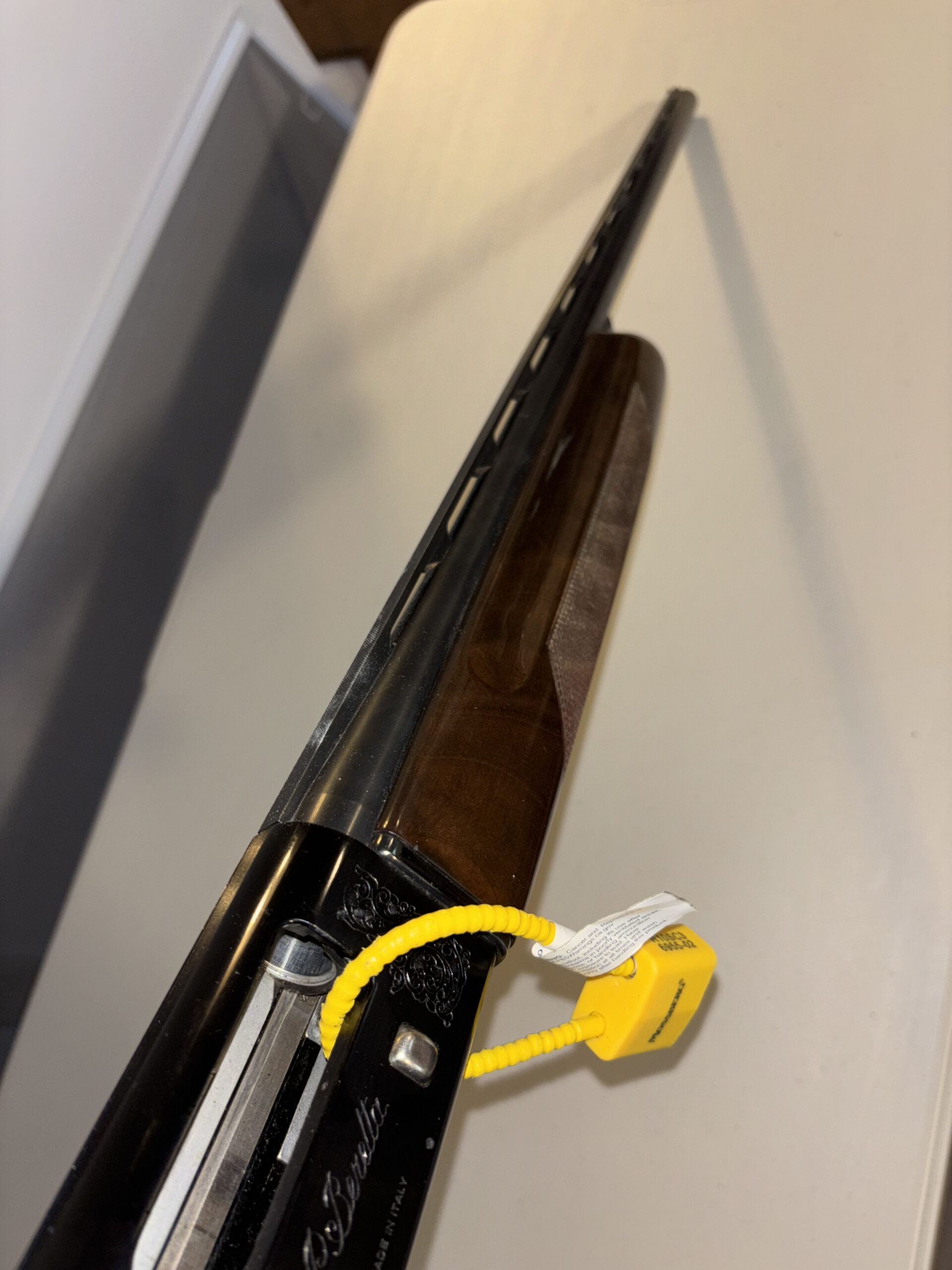Beretta A-M 301