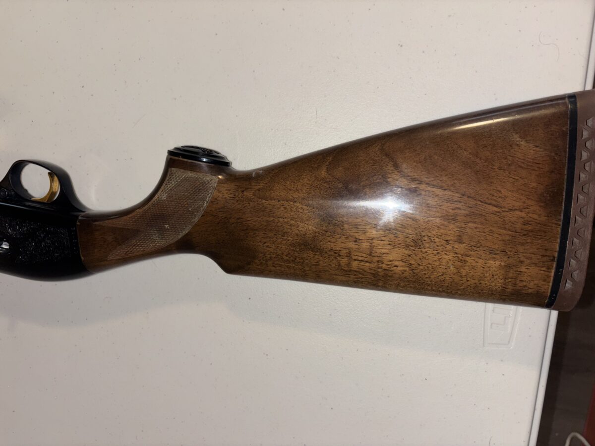 Beretta A-M 301