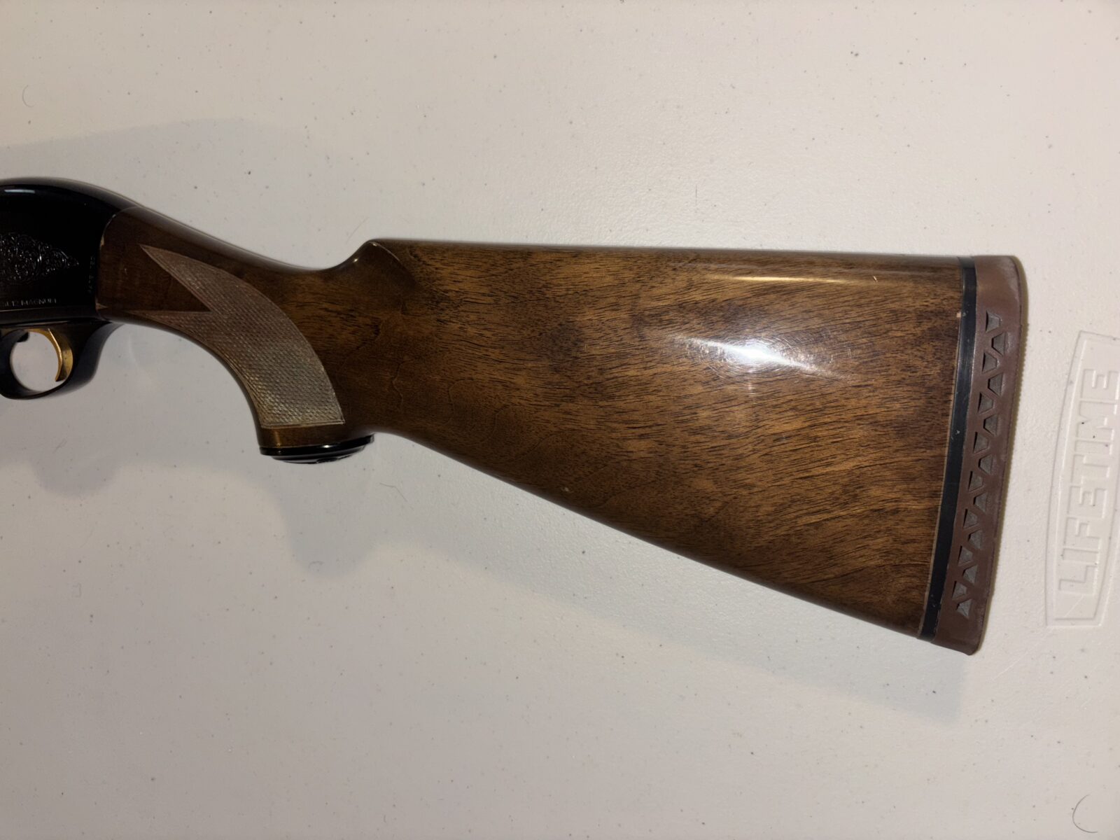 Beretta A-M 301