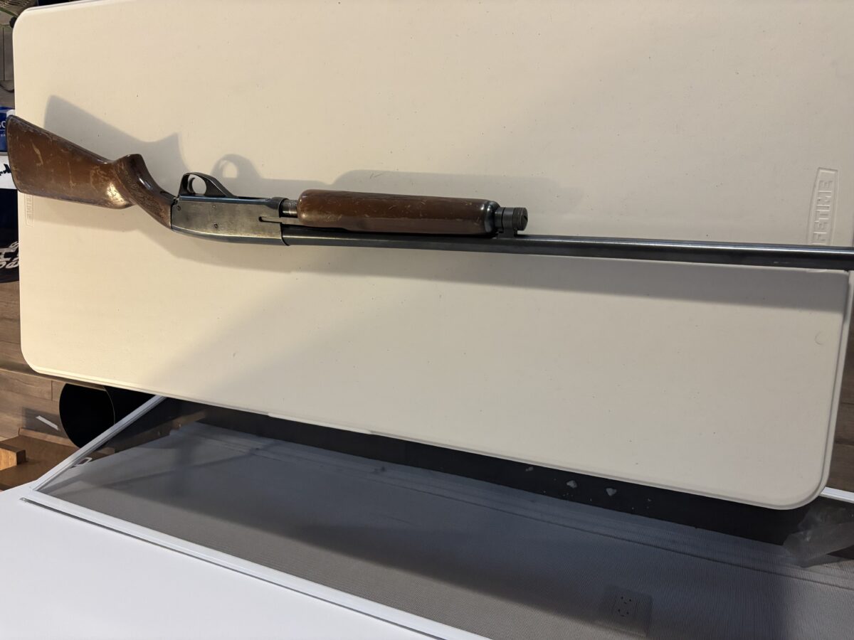 12 gauge