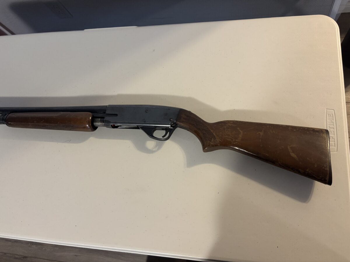 12 gauge