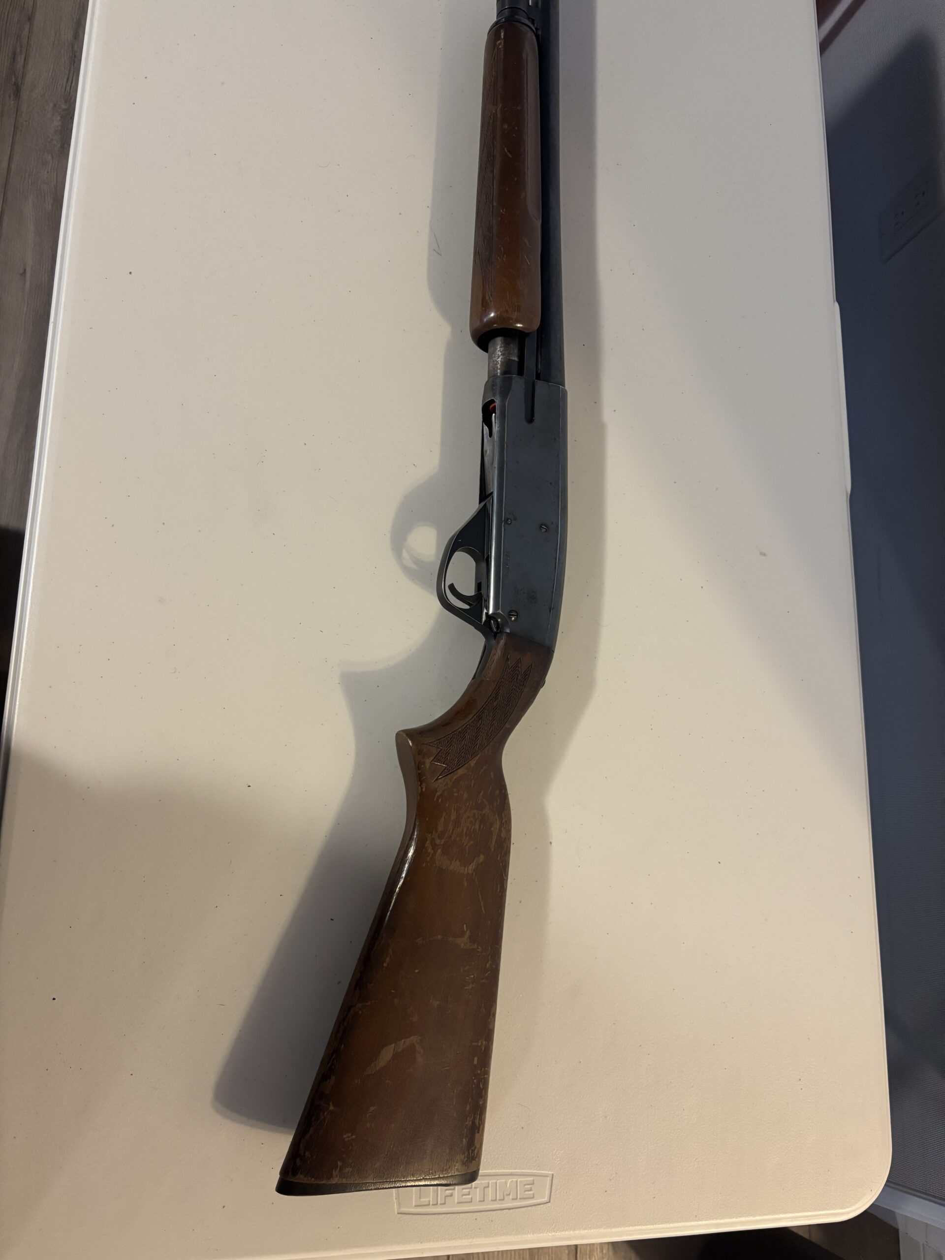 12 gauge
