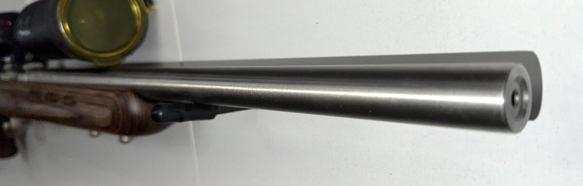 Savage 93R17 BTVSS , 17HMR , scope prédateur