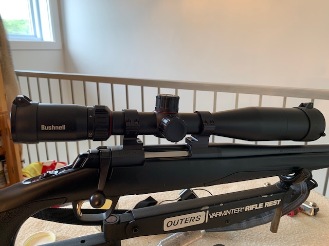 Télescope lunette de tir Bushnell Nitro 2.5-10×40