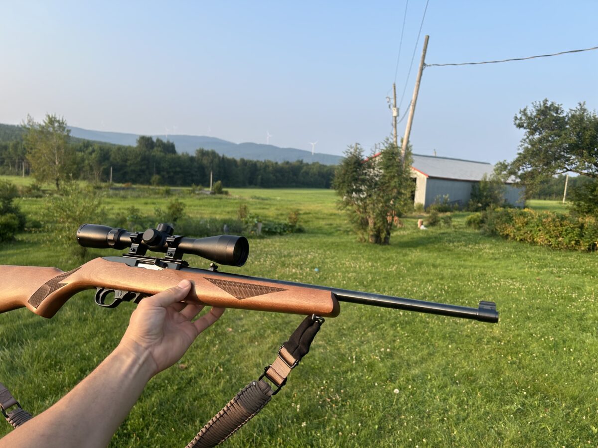 Ruger 10/22 75e anniversaire
