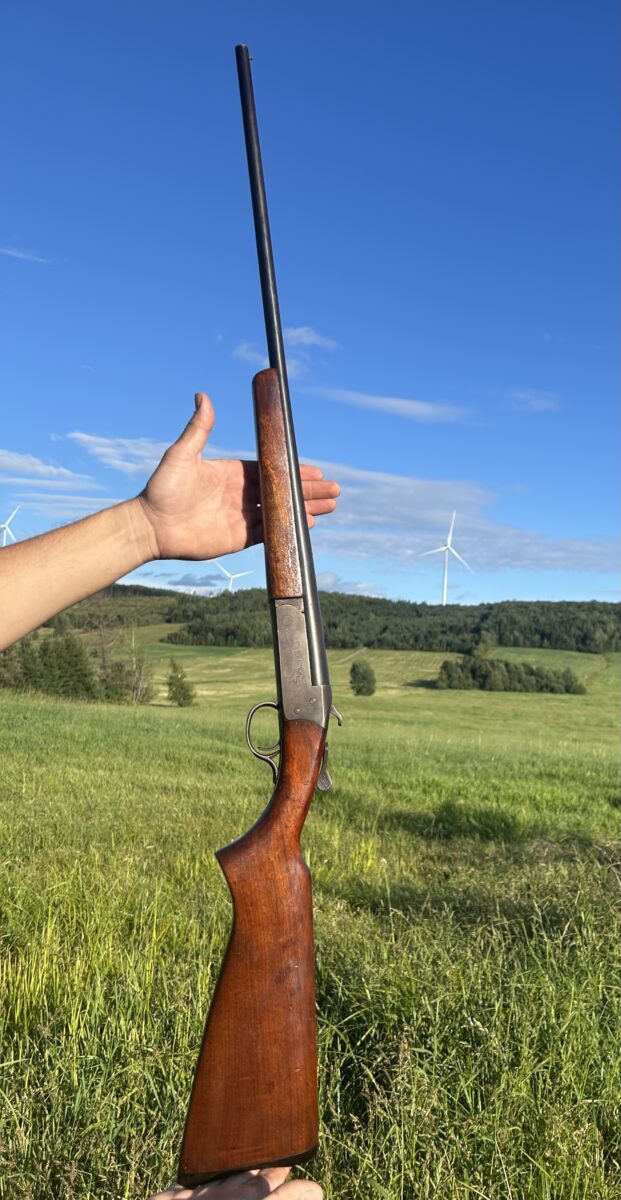 410 cooey model 84