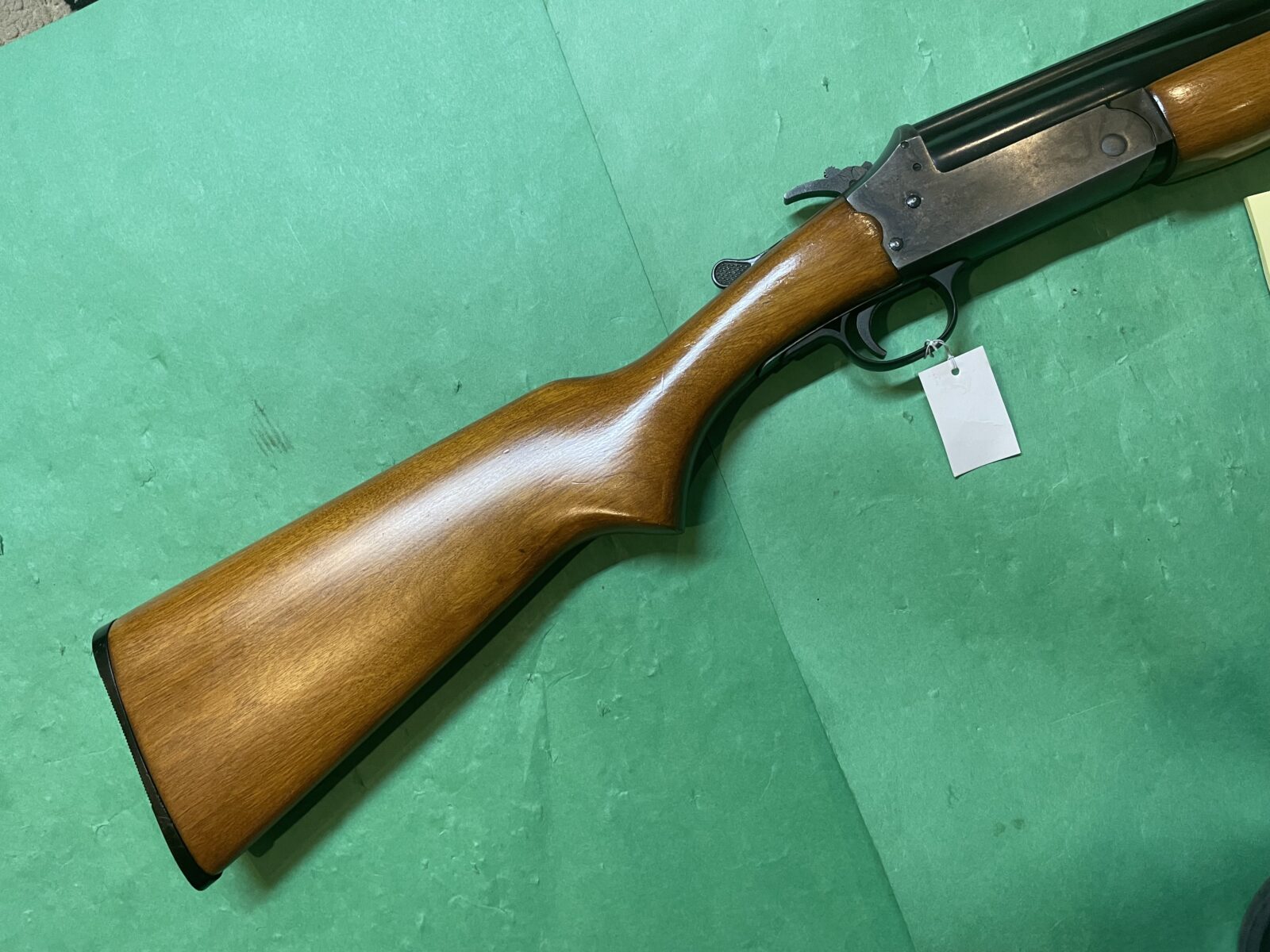 SAVAGE 24 22/20GA