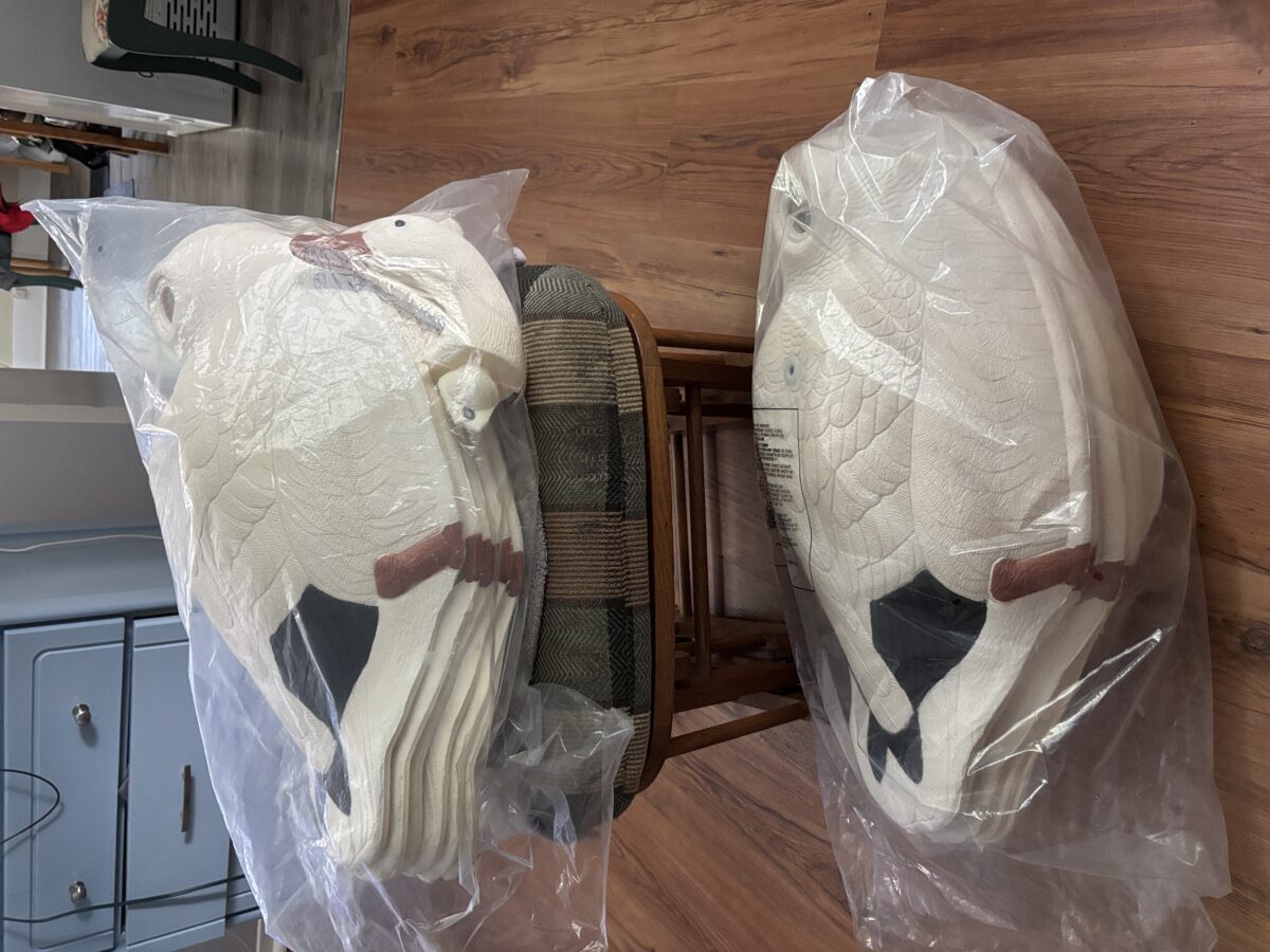 Appelants oie blanche 12 neuf