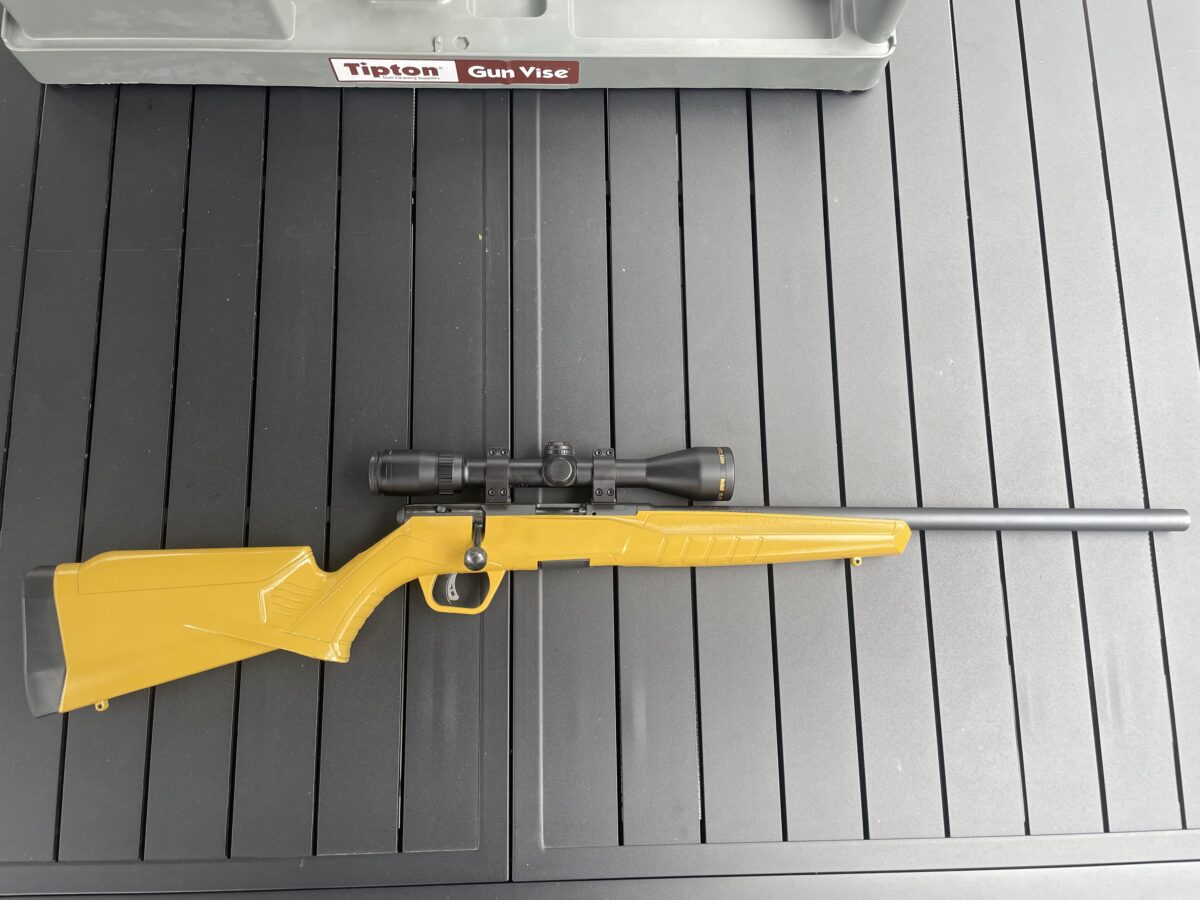 22 Savage Magnum