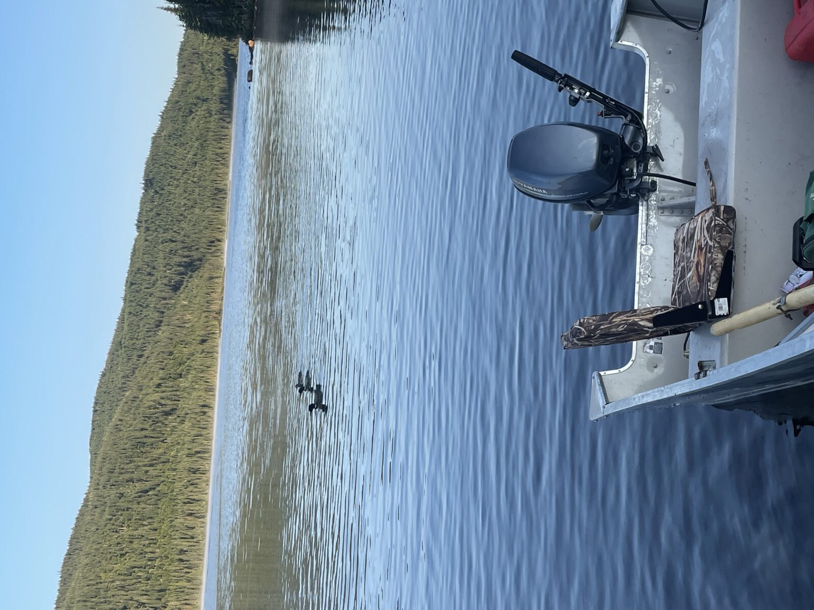 Yamaha 9.9