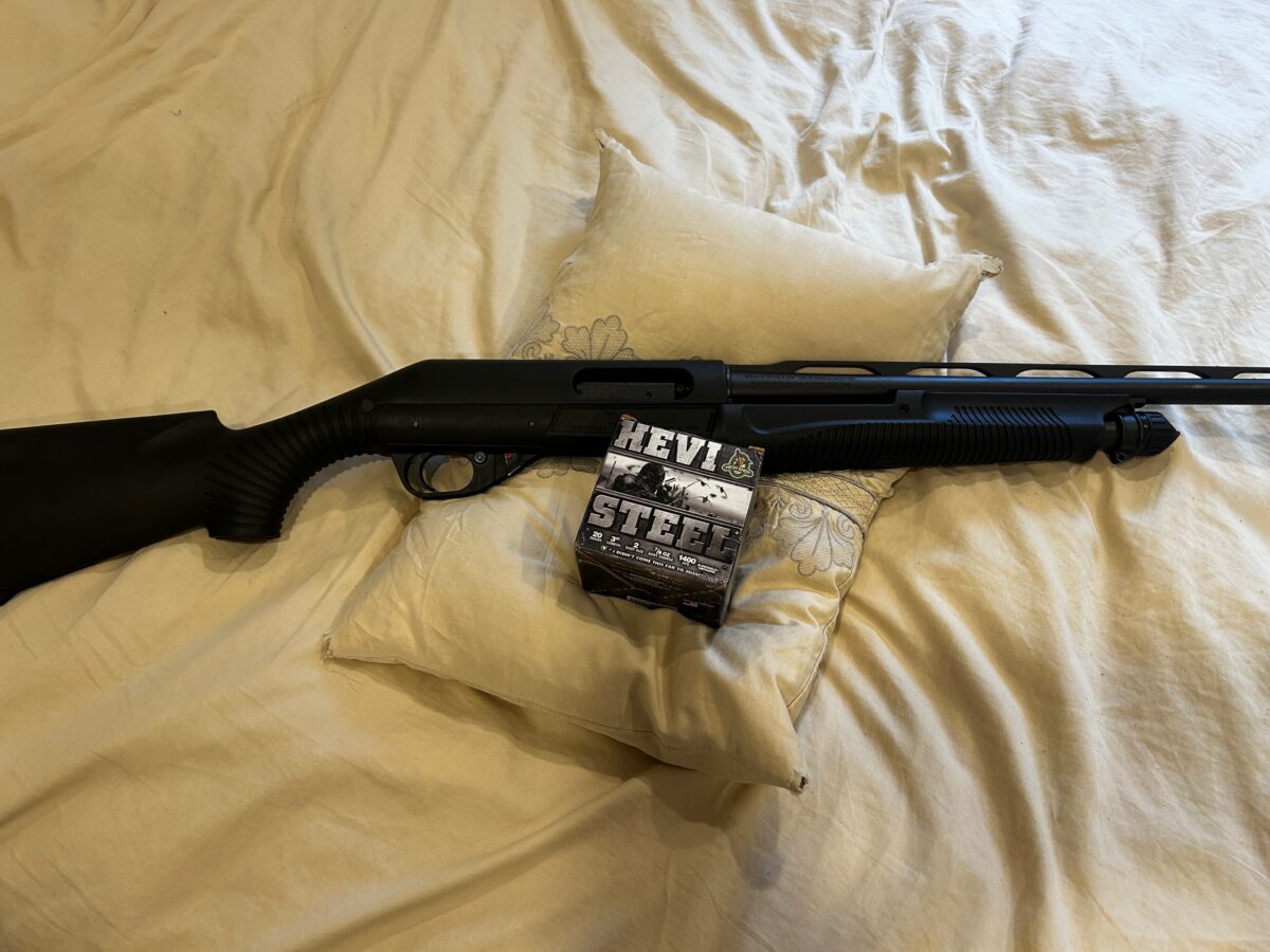 Benelli nova cal.20 + 1 bte de balle