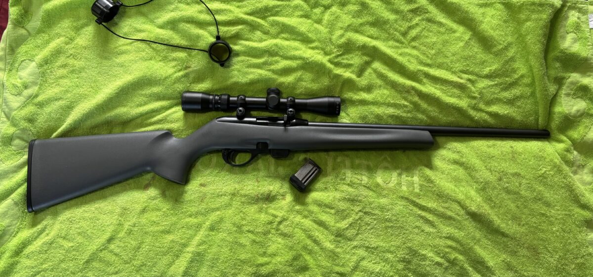 Remington 22 lr model 597