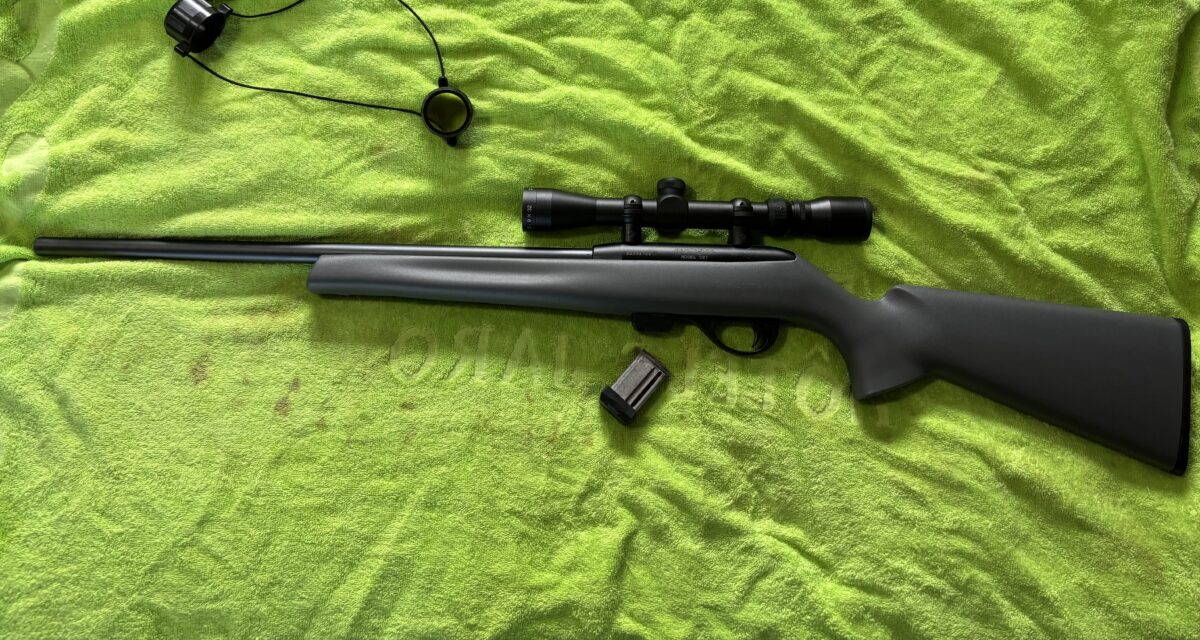 Remington 22 lr model 597