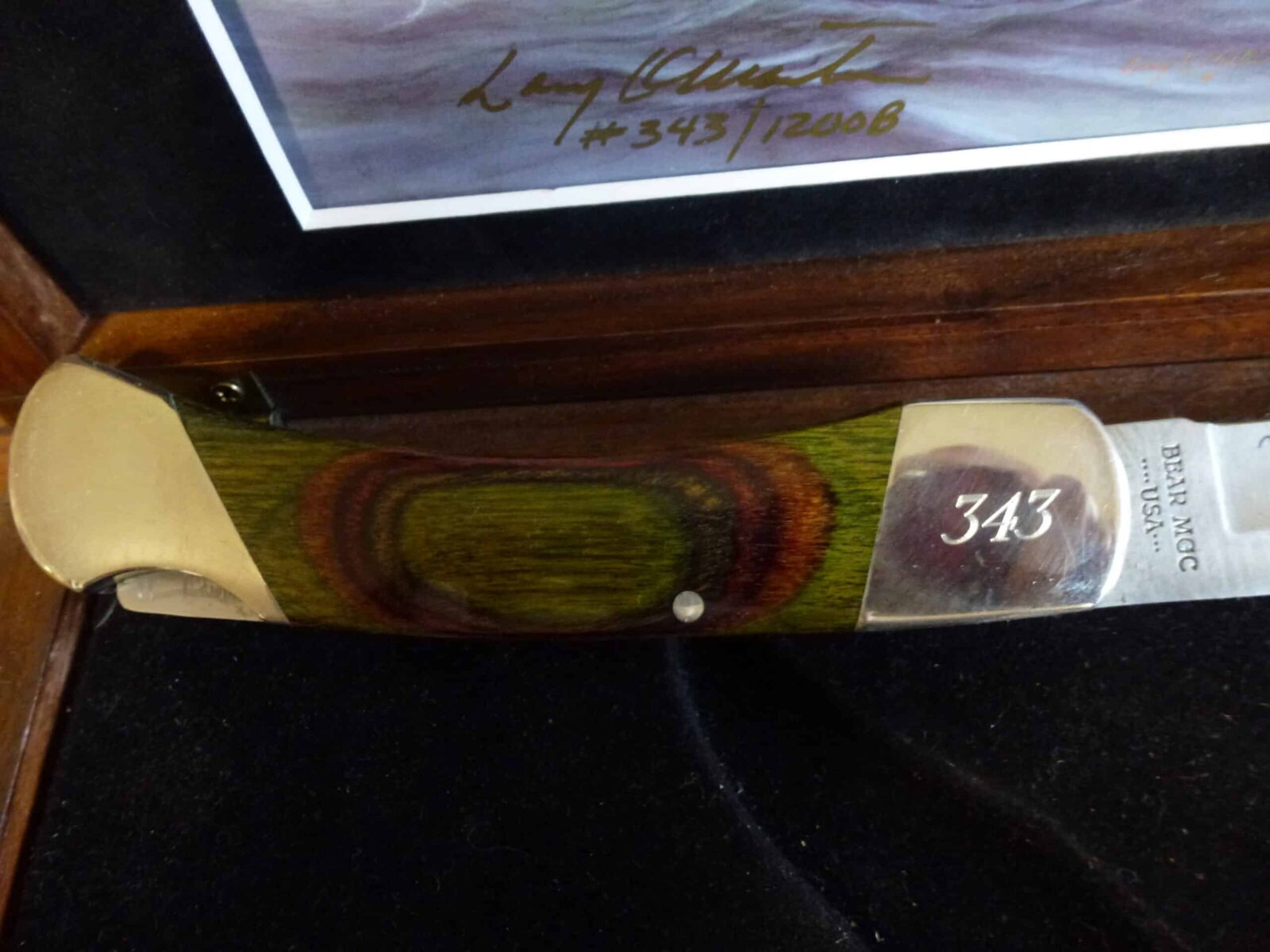 **150$**NEUF*COLLECTION KNIFE BEAR MGC WILD LIFE SERIES#343/1200**