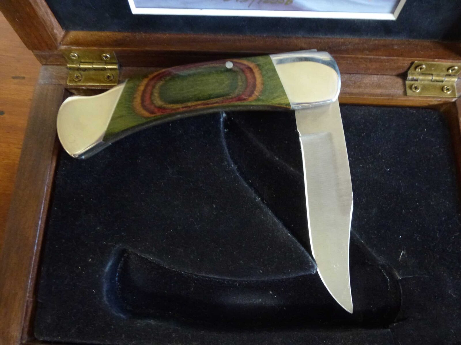 **150$**NEUF*COLLECTION KNIFE BEAR MGC WILD LIFE SERIES#343/1200**