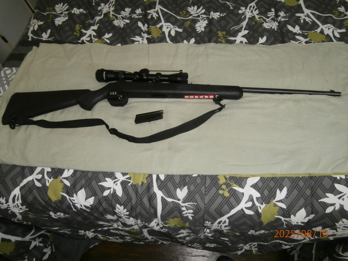 Carabine 22lr semi-auto