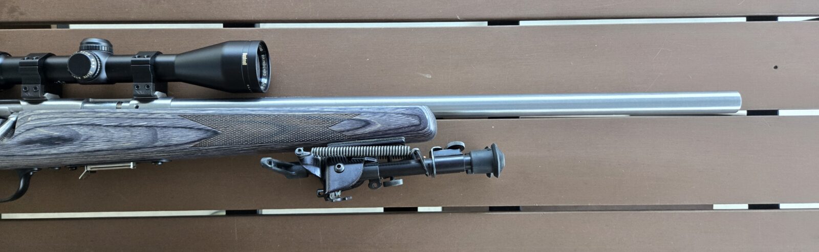 Savage 93R17 BVSS