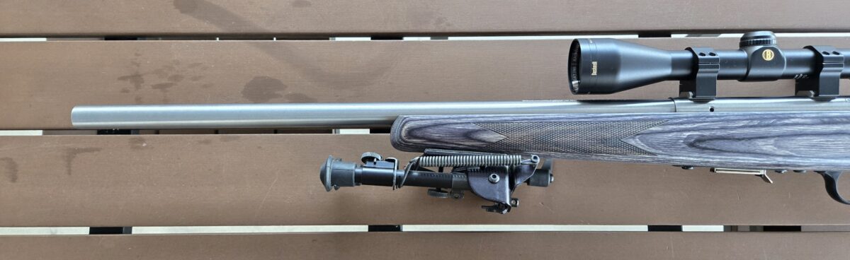 Savage 93R17 BVSS