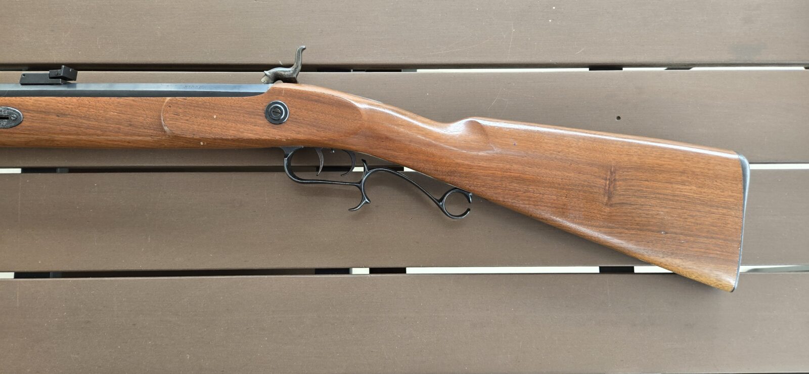 T C Renegade cal 54
