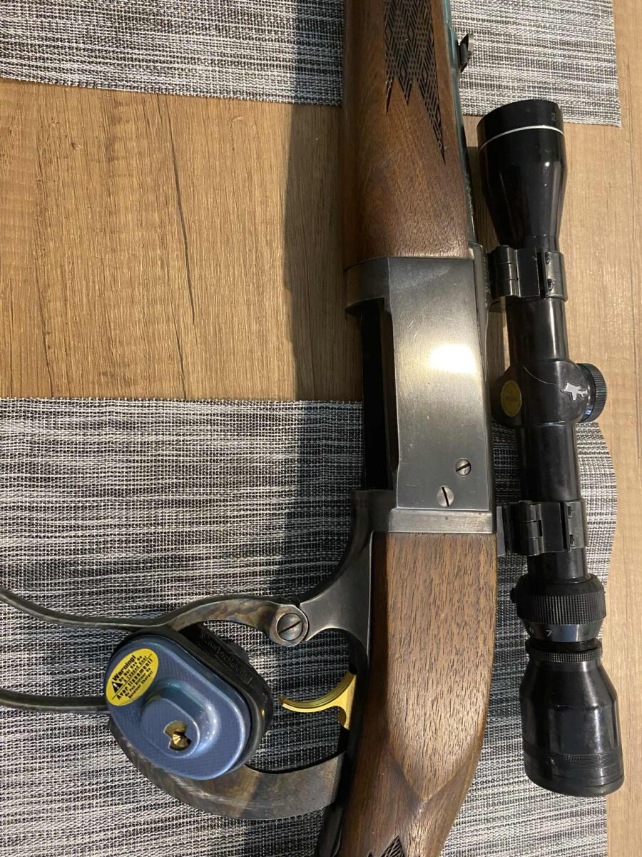 Carabine à levier .308 Win