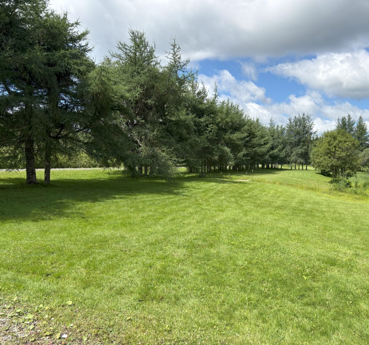 Terre a bois Chartierville 50 acres pour Chasse