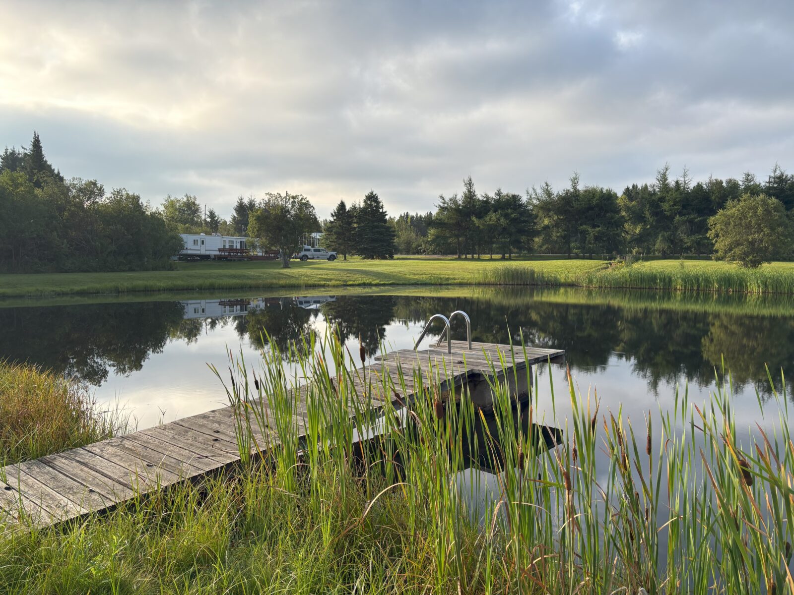 lac-1