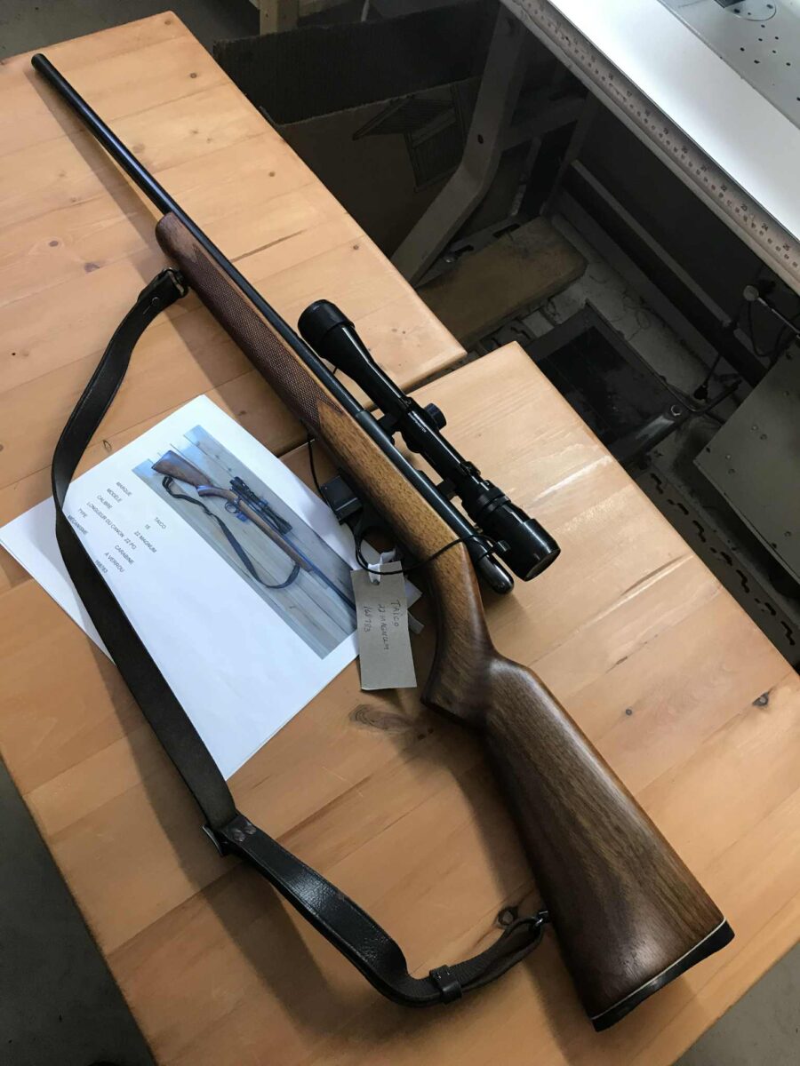 TAICO 22 magnum