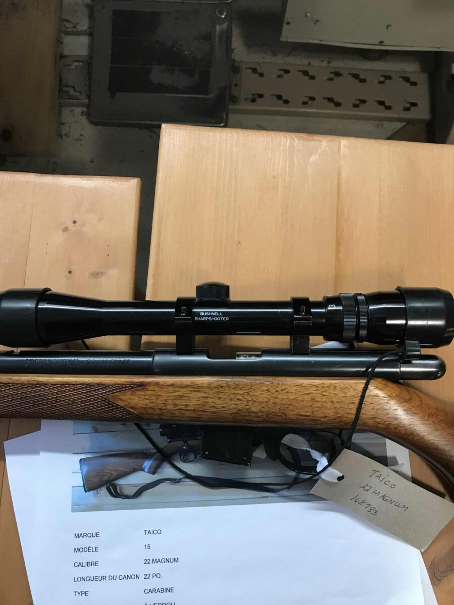 TAICO 22 magnum