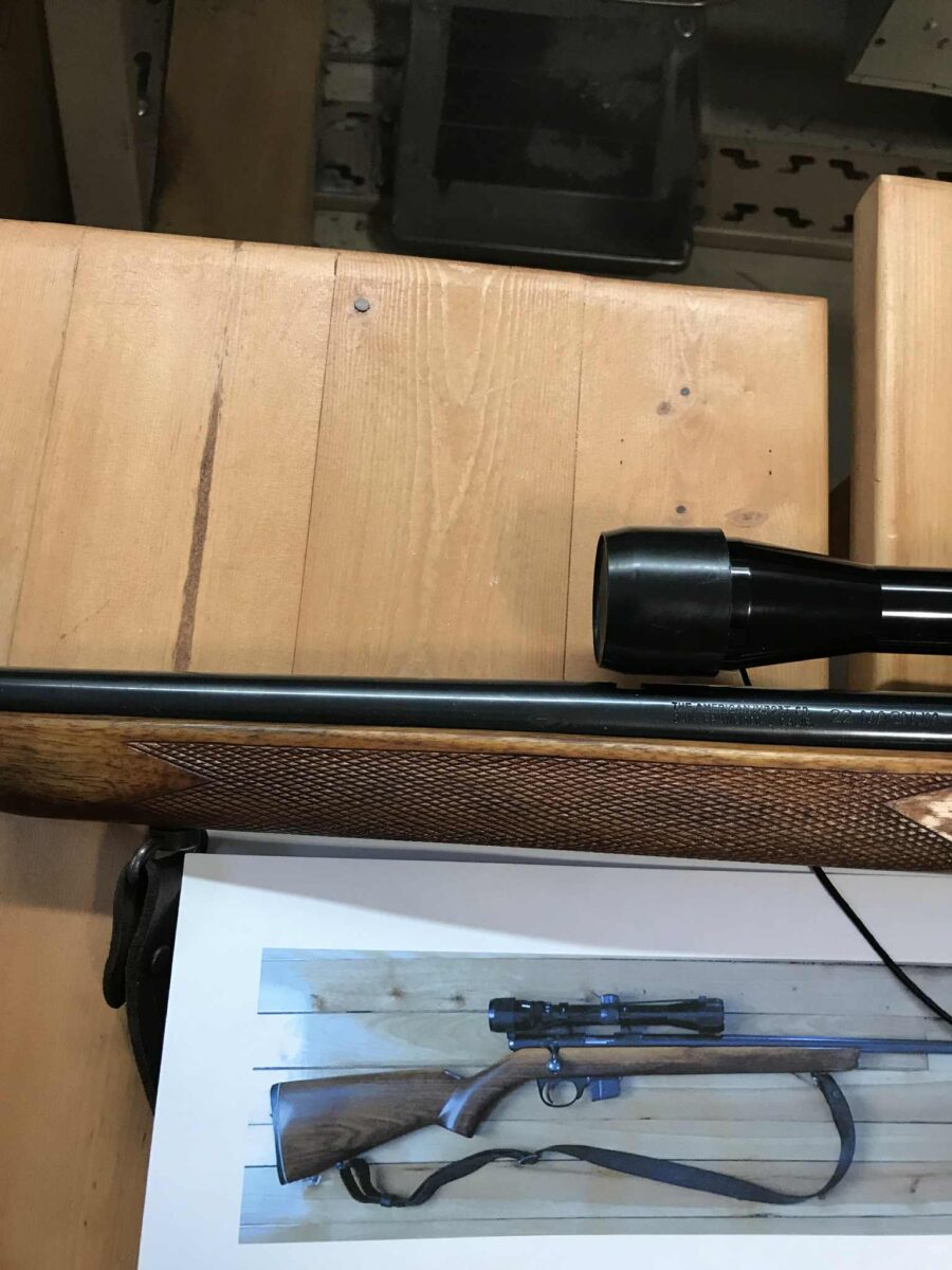 TAICO 22 magnum