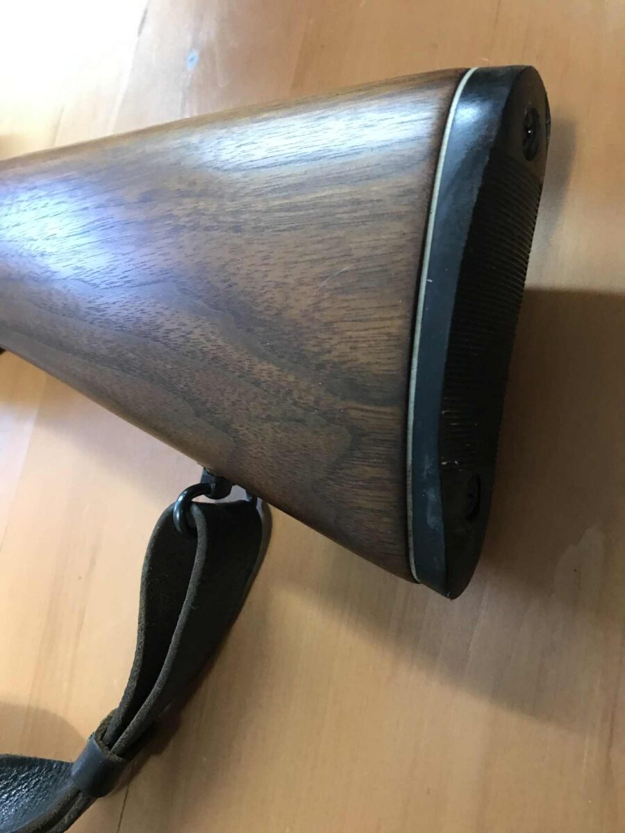 TAICO 22 magnum
