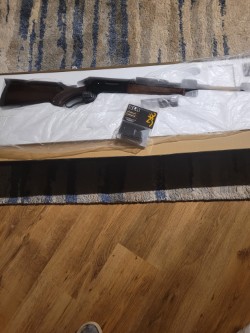 Blr browning 308