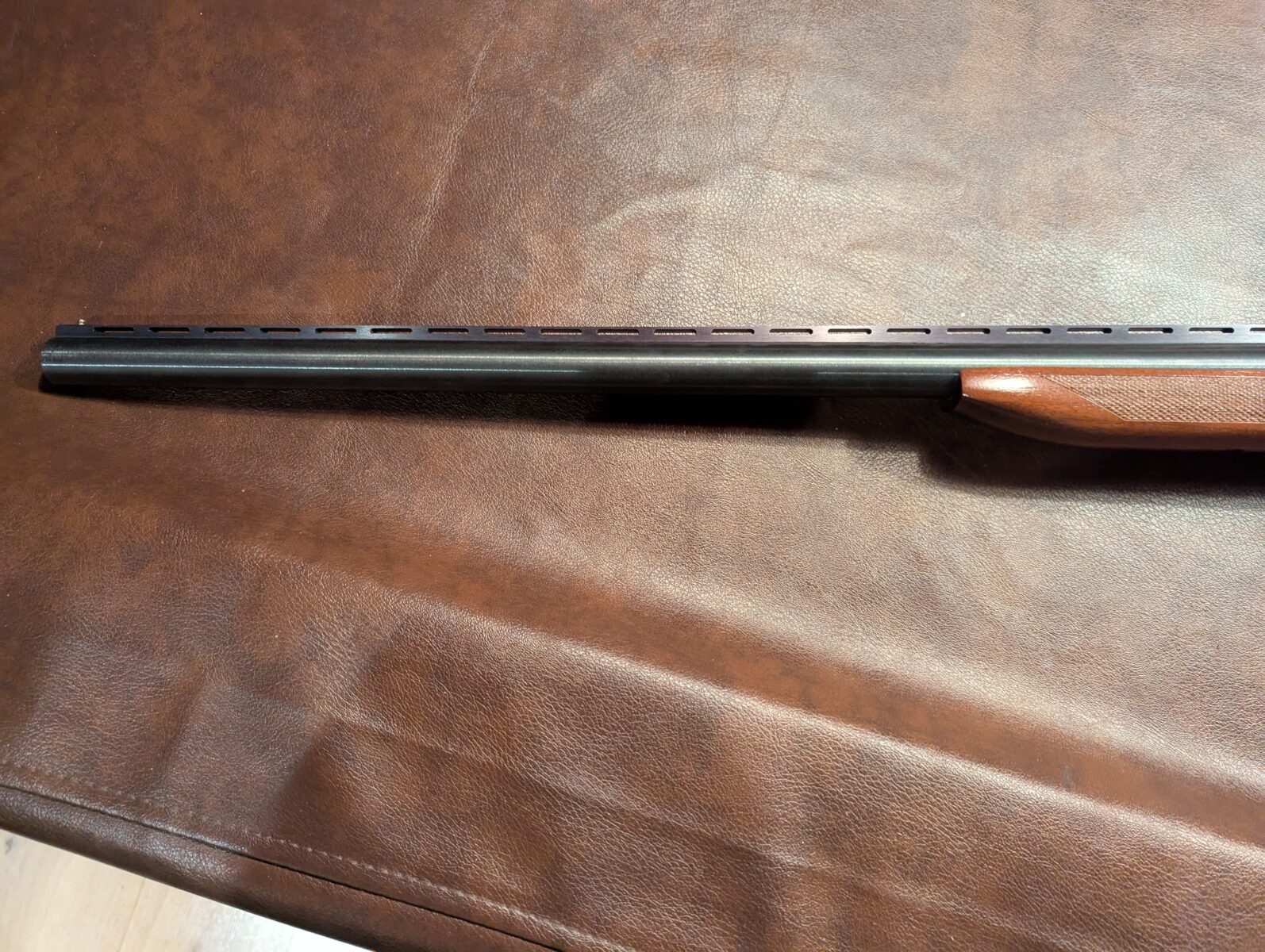 Harrington & Richardson 12g