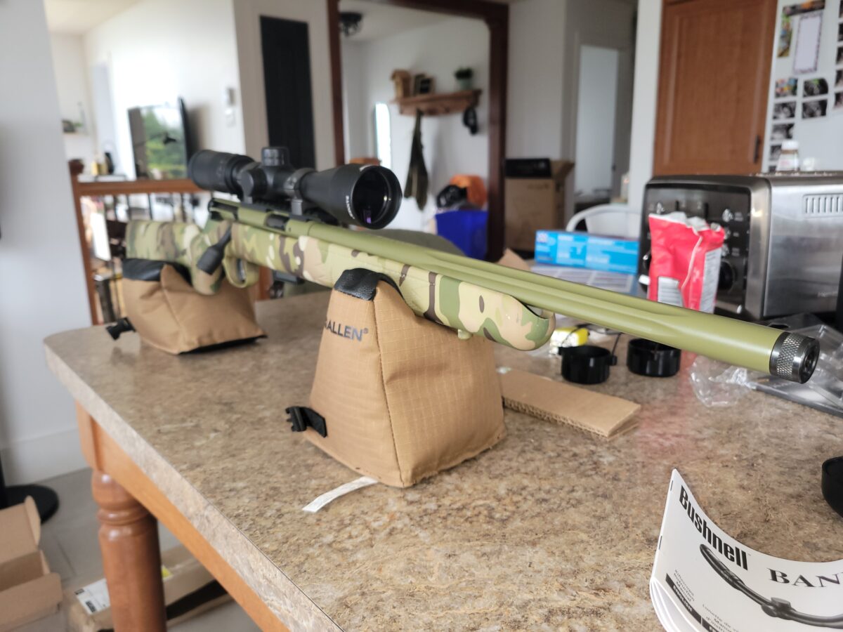 Savage 93 fv-sr (.22WMR)