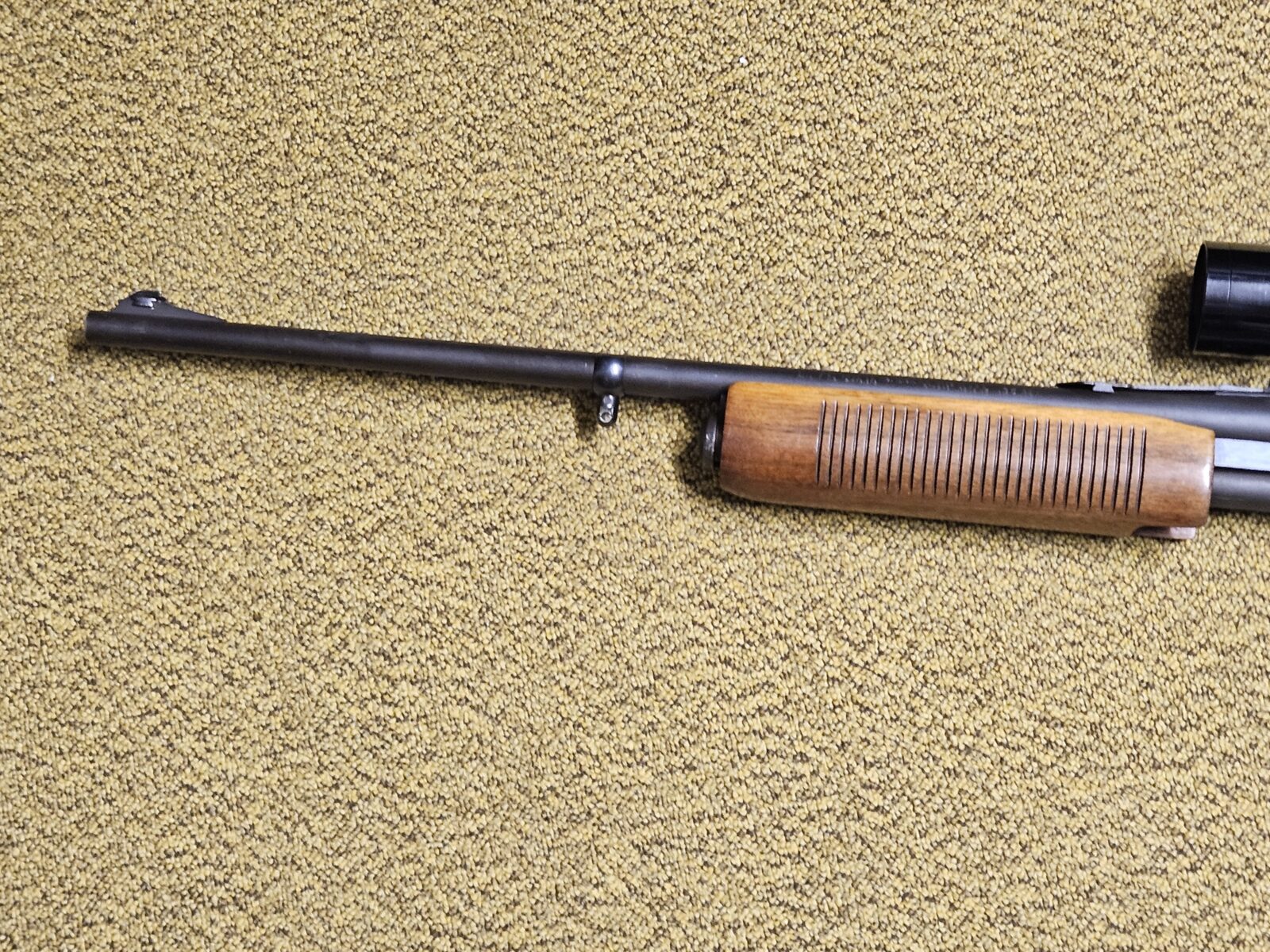 CARABINE REMINGTON À POMPE EN 35REM
