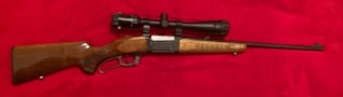 POUR UNE CHASSE RÉUSSIE, IL TE LA FAUT SAVAGE 99C