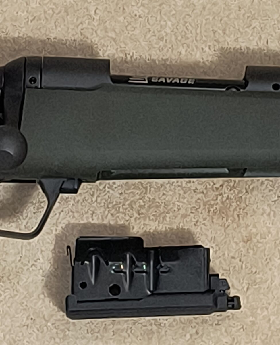 Savage 110 Hog Hunter 308 win